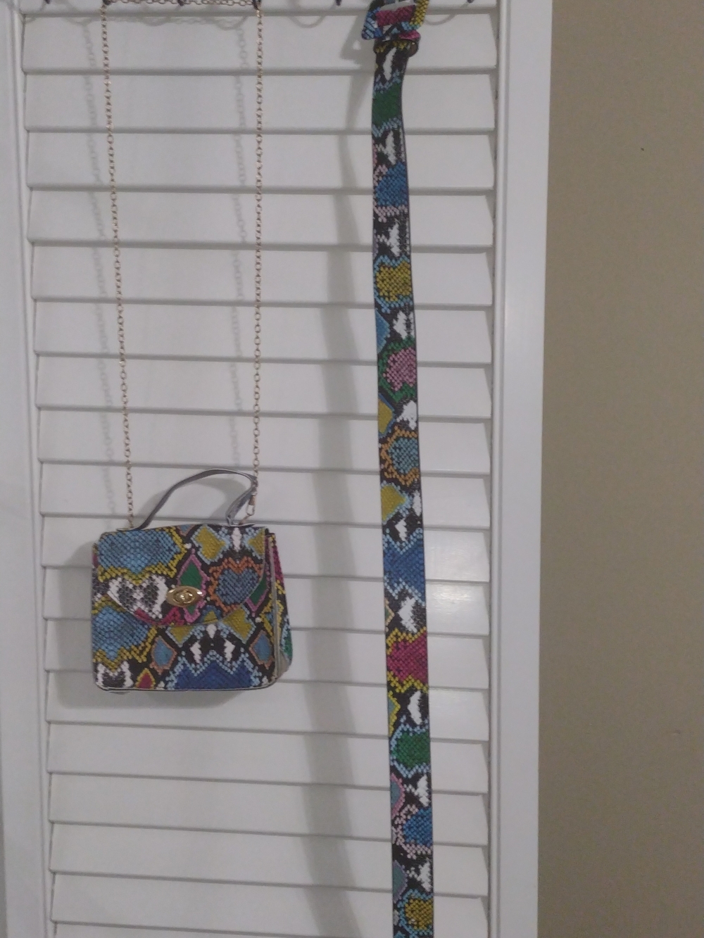 Colorful Multicolor Snake-Print Crossbody Bag And Matching Belt.